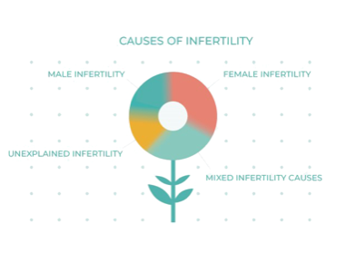 Fertibiome infertility